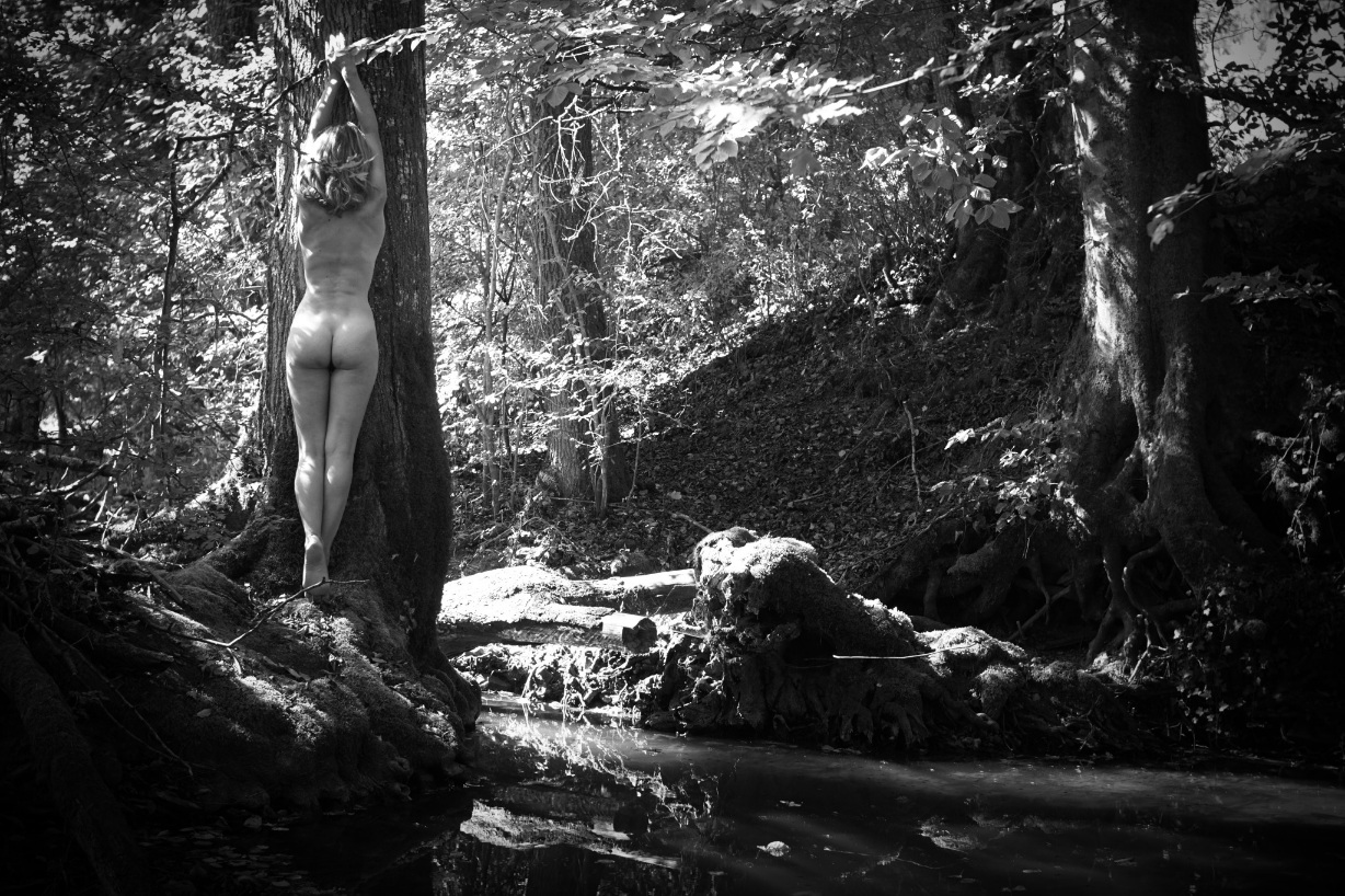 Фото Женщин Эротика В Лесу