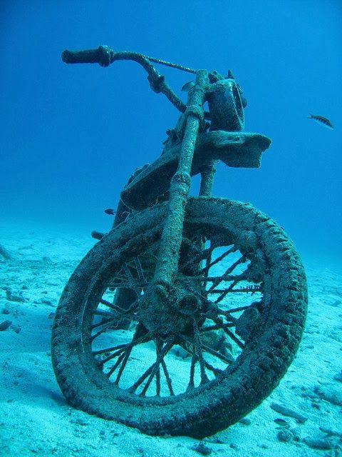 480x640, 62 Kb / мотоцикл, море, вода, утопленник