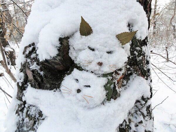 600x450, 78 Kb / котэ, кот, кошка, снег, дерево, скульптура