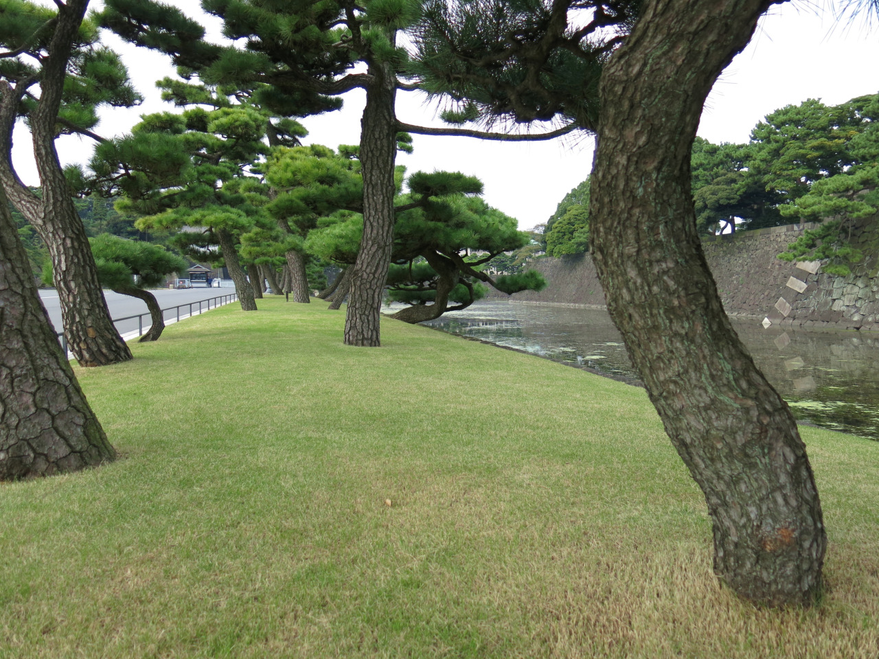 1280x960, 557 Kb / деревья, парк, водоем, япония