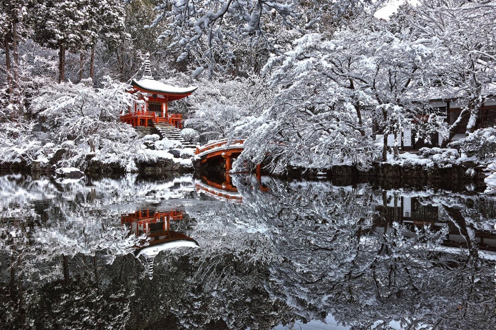 1000x666, 494 Kb / храм, пруд, снег, деревья, Япония