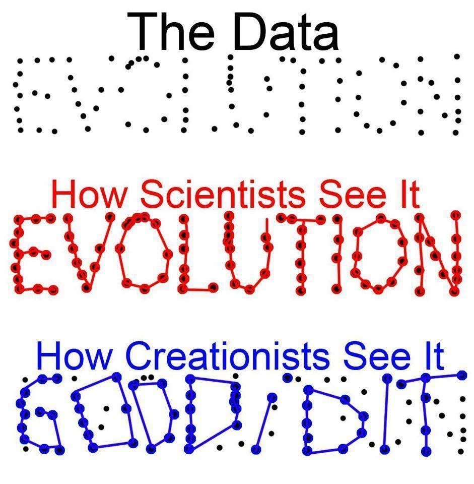 941x960, 132 Kb / данные, ученые, креационисты, эволюция