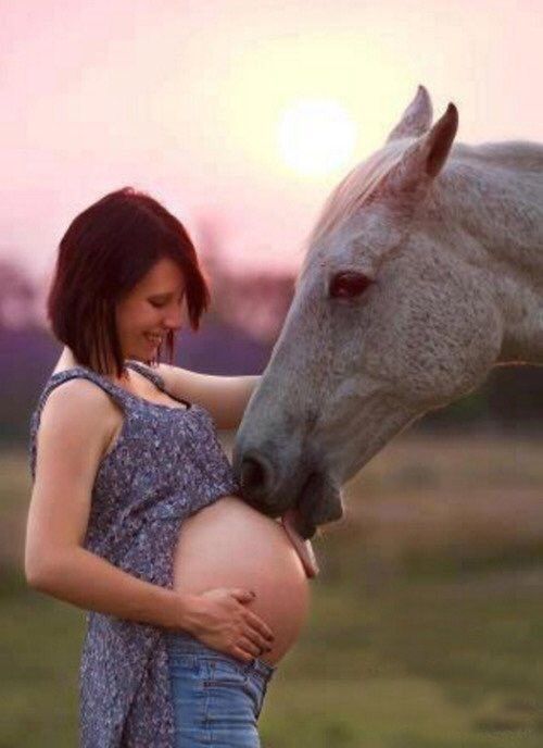 500x688, 40 Kb / беременная, лошадь, живот