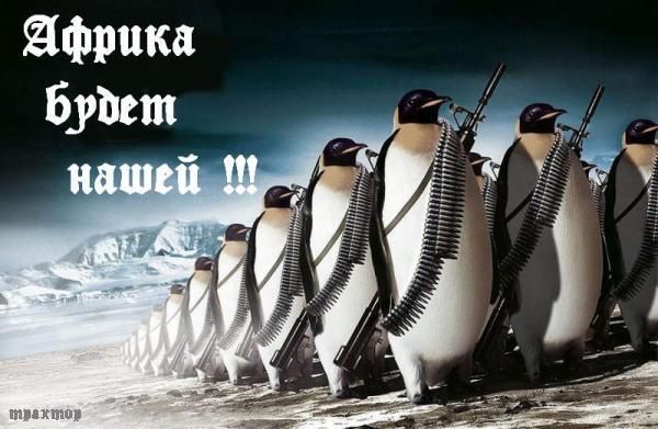 600x391, 47 Kb / пингвины, плакат