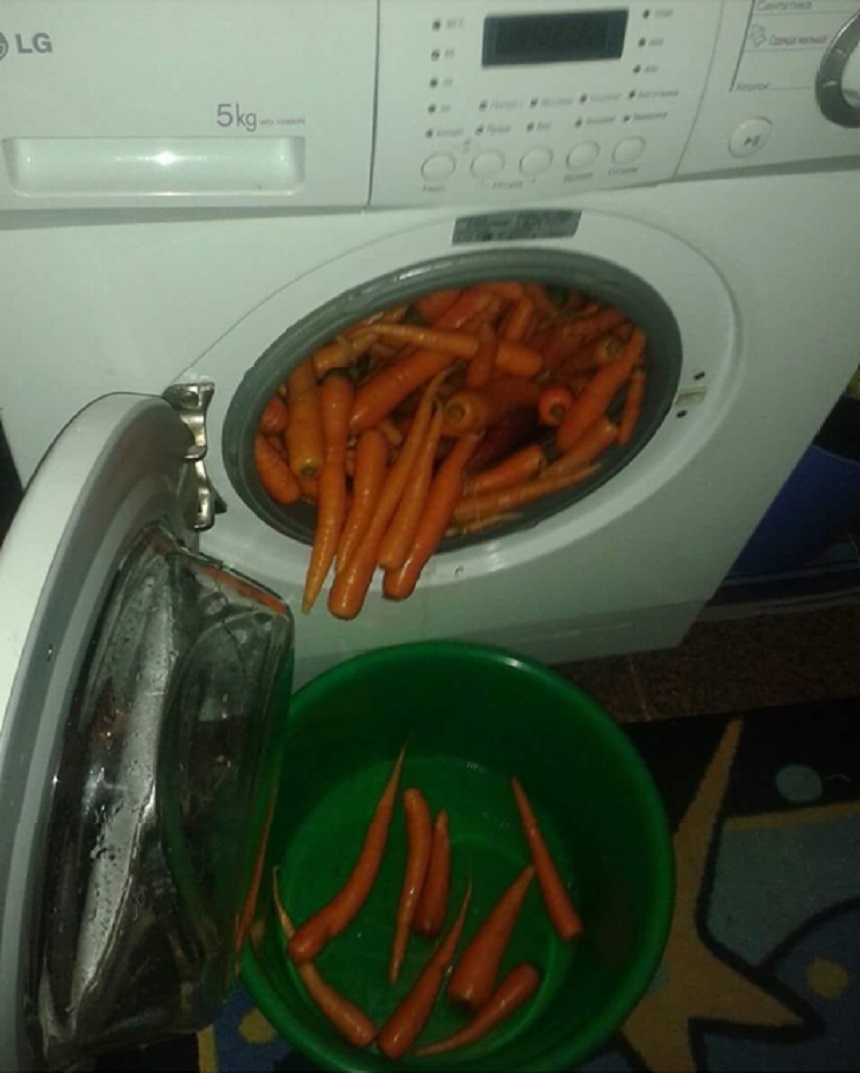860x1073, 149 Kb / стиральная машина, морковь