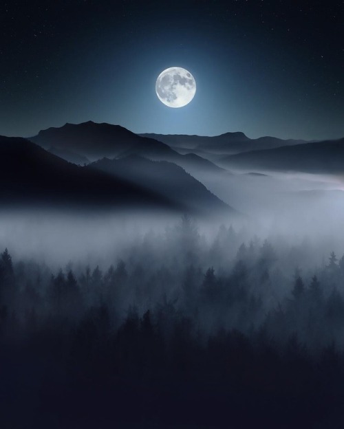500x624, 30 Kb / луна, ночь, горы, туман, лес