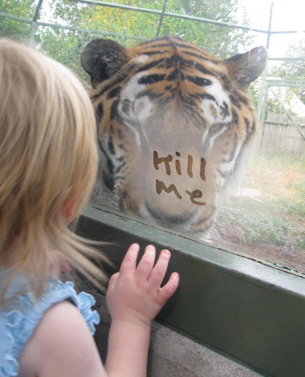 Тигр и маленькая девочка