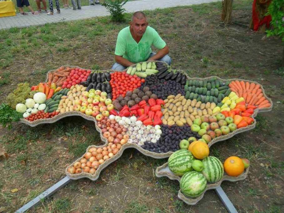909x682, 112 Kb / овощи, фрукты, арбузы, морковь, яблоки, украина, карта
