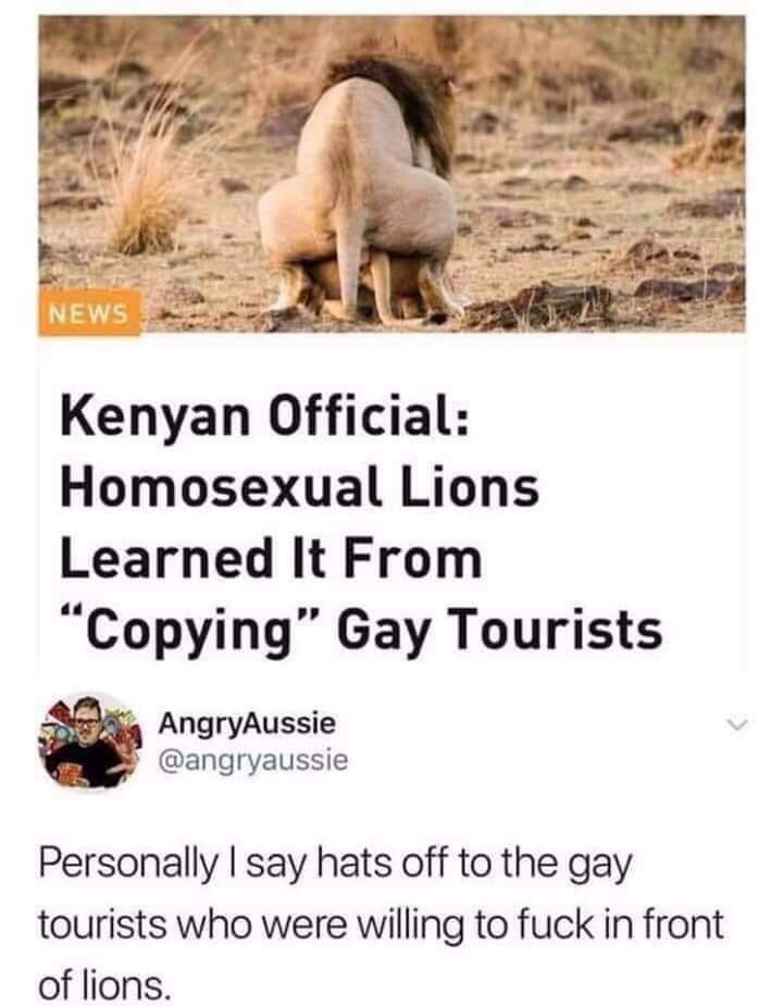 720x925, 61 Kb / Кения, львы, гомосексуалисты