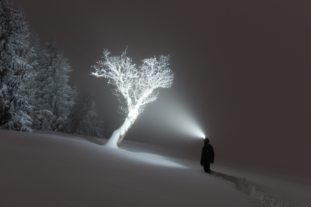 1024x683, 189 Kb / свет, ночь, дерево, зима, снег, фонарик, лес