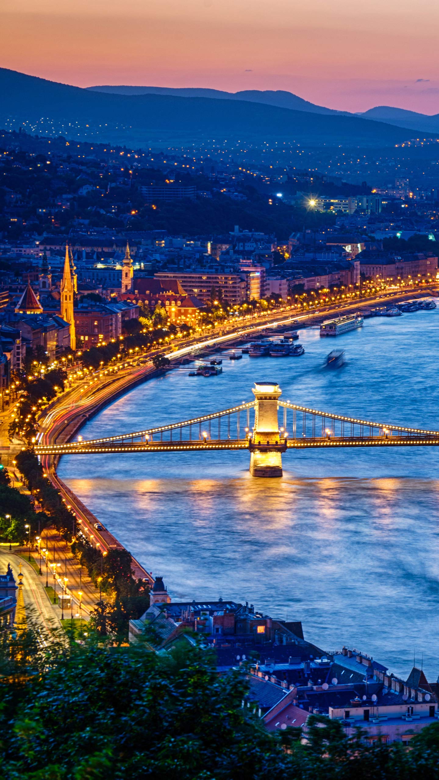1440x2560, 499 Kb / Будапешт, Венгрия, мост, огни, бухта, гавань