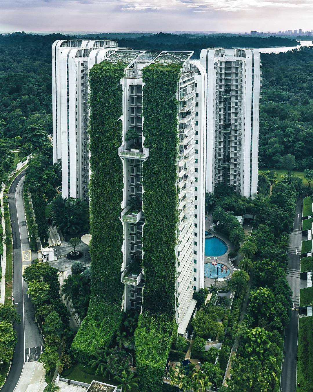 1080x1350, 340 Kb / сингапур, ландшафт, зелень, архитектура
