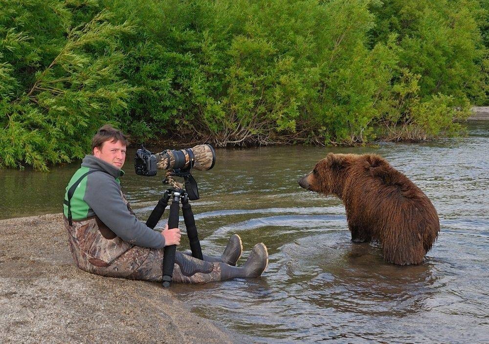 1000x704, 227 Kb / вода, фотограф, натуралист, медведь