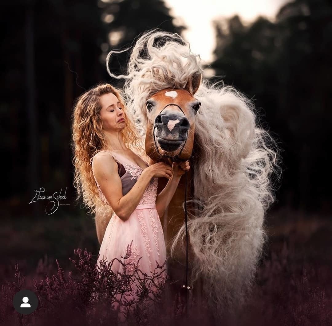 1080x1062, 162 Kb / блондинка, платье, грива, лошадь, конь, лес