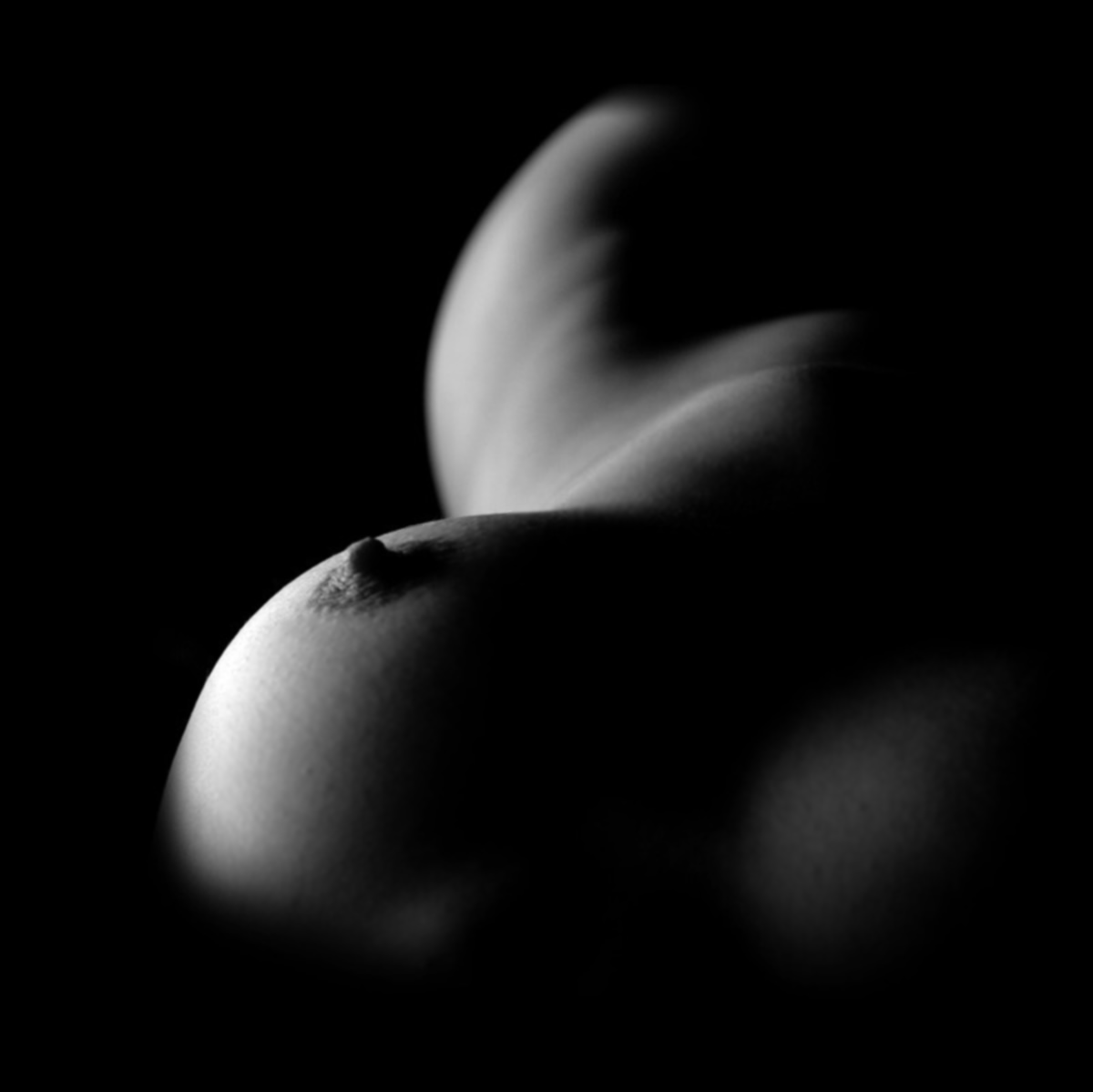 черно белые картинки женской груди фото 34