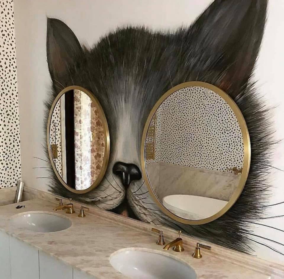 960x942, 105 Kb / зеркало, очки, глаза, кошка, кот, раковина