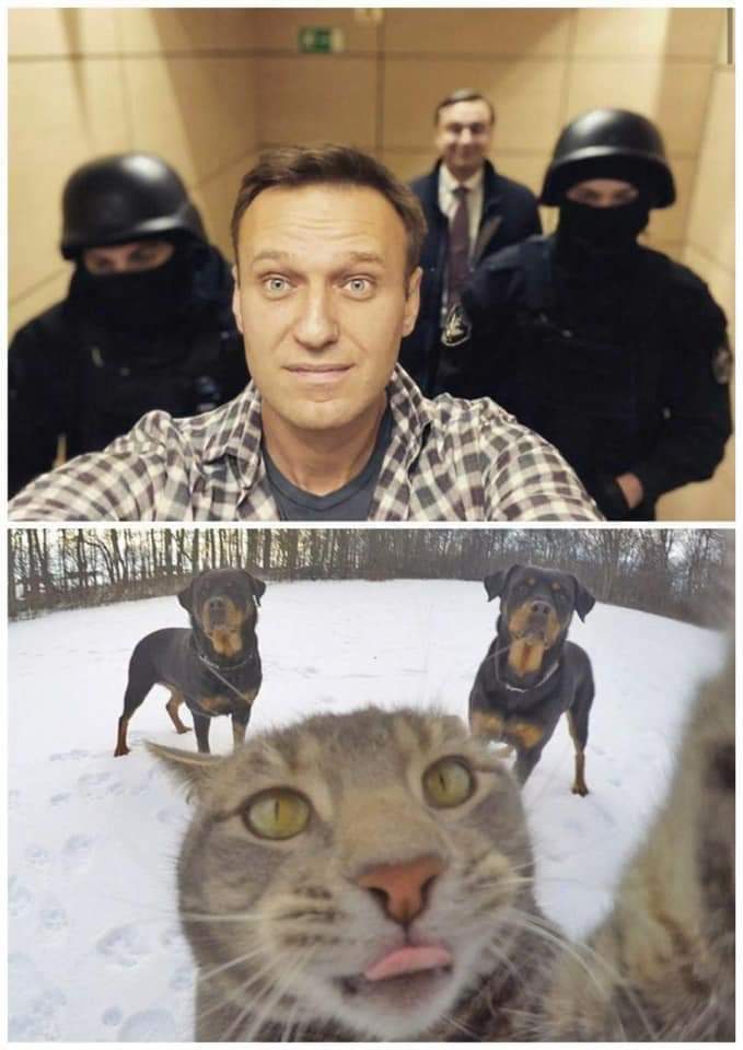 679x960, 52 Kb / Навальный, кот, Мурзик, собаки, селфи