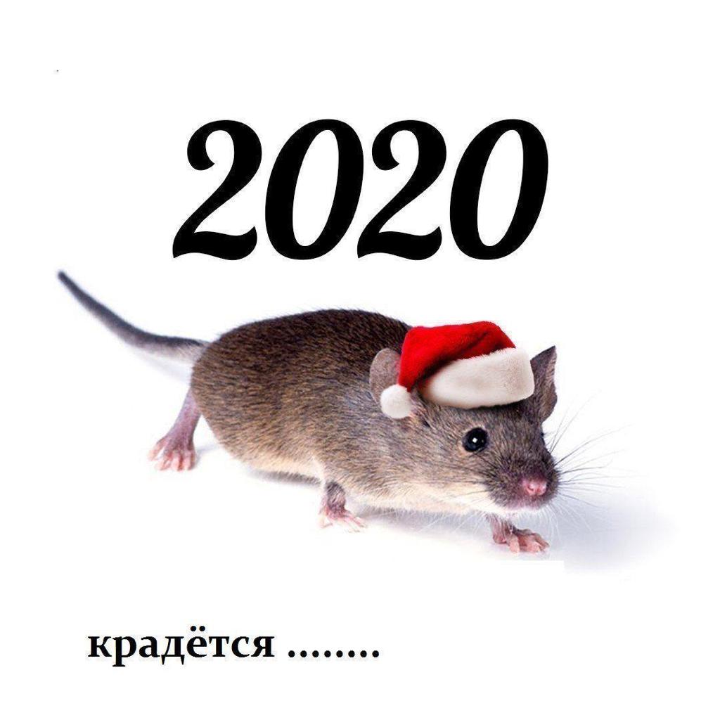1024x1024, 62 Kb / Новый год, мышь