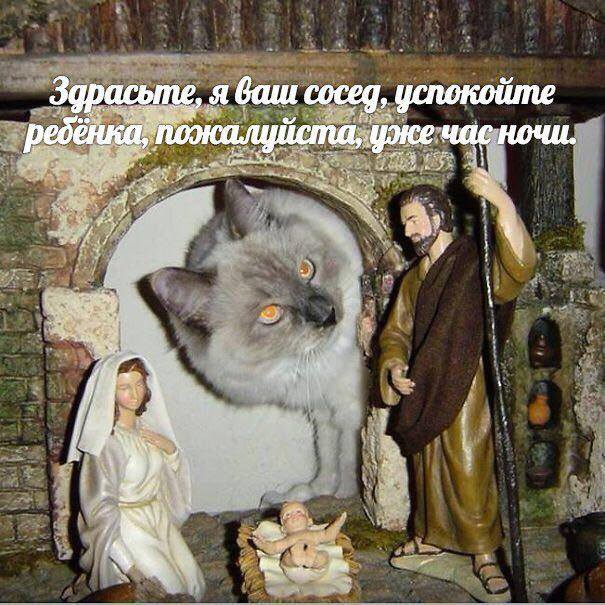 605x605, 78 Kb / кошка, кот, рождество, Иисус
