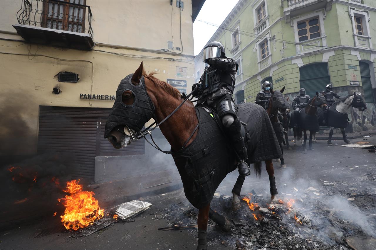 1280x853, 150 Kb / полиция, огонь, протесты, доспехи, защита, шлем, лошадь, конь