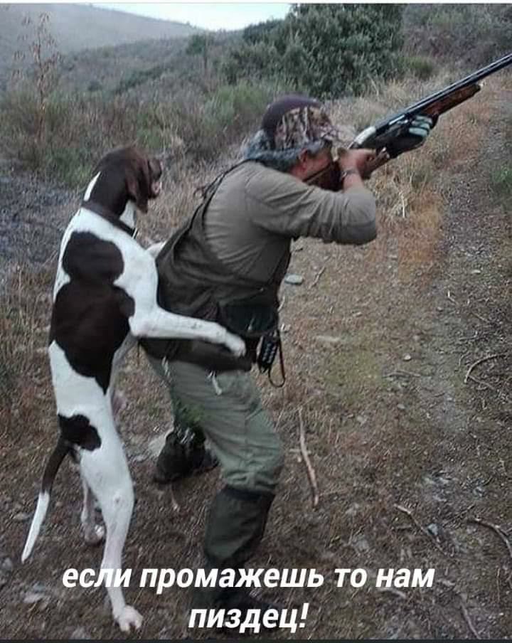 720x904, 118 Kb / охотник, собака, ружье, выстрел