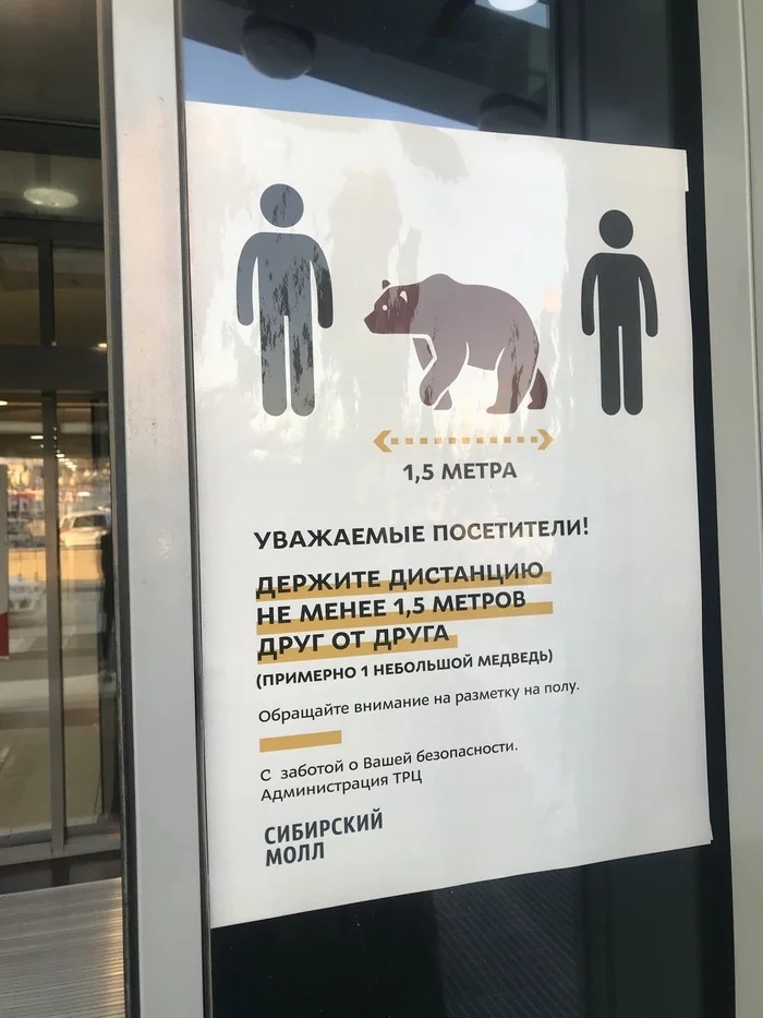 700x933, 165 Kb / плакат, медведь, дистанция, карантин, Новосибирск