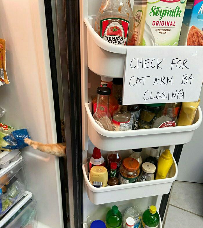 700x789, 114 Kb / холодильник, кот, лапа, записка