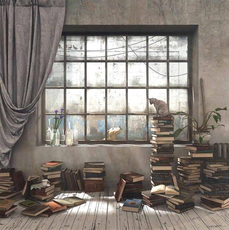 899x900, 133 Kb / кошки, книги, окно, пол, занавески, шторы, Cynthia Decker