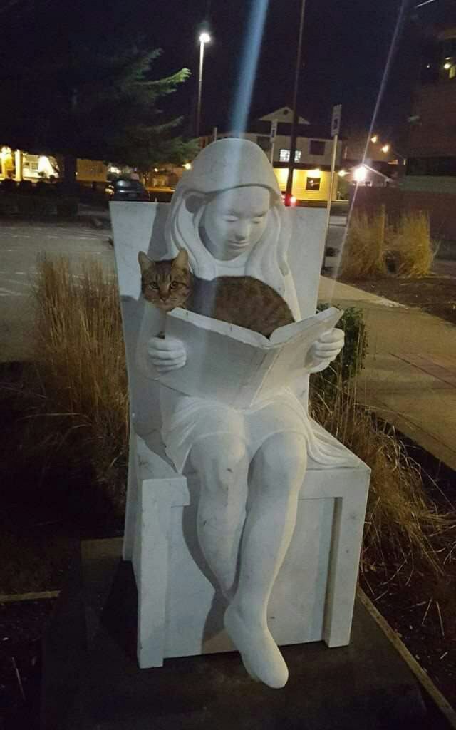 640x1024, 71 Kb / девушка, книга, кот, кошка, скульптура, статуя, огни
