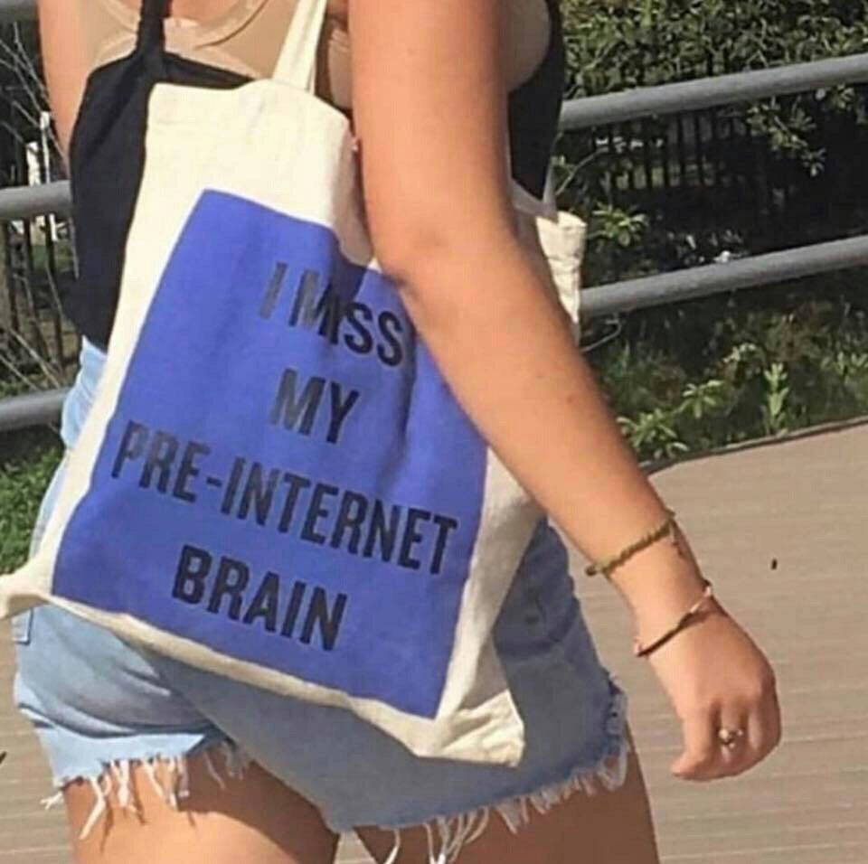 960x956, 100 Kb / интернет, сумка, мозги