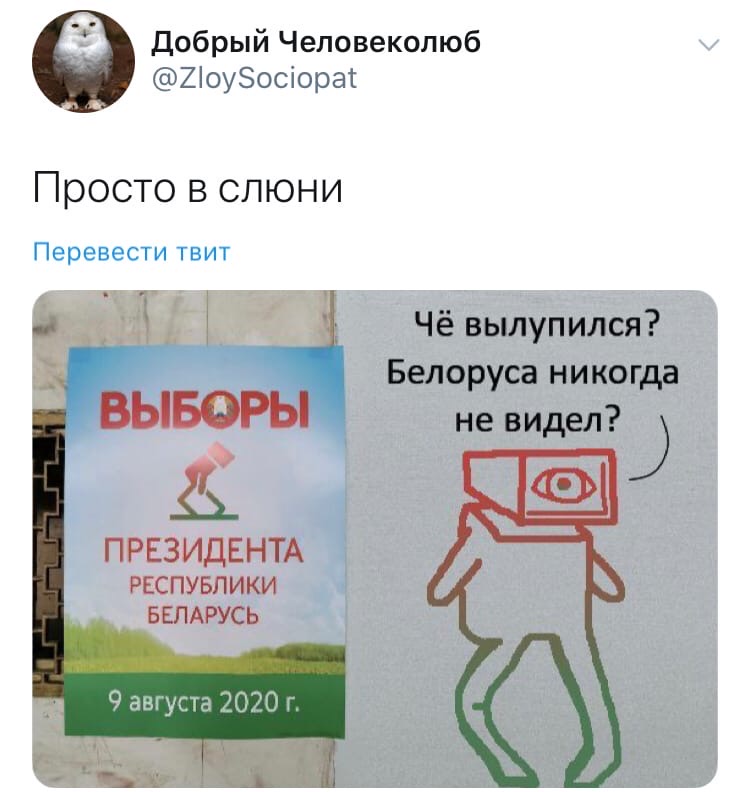 750x792, 82 Kb / выборы, Беларусь