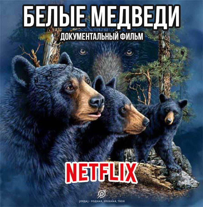 700x714, 165 Kb / фильм, документальный, медведи, netflix