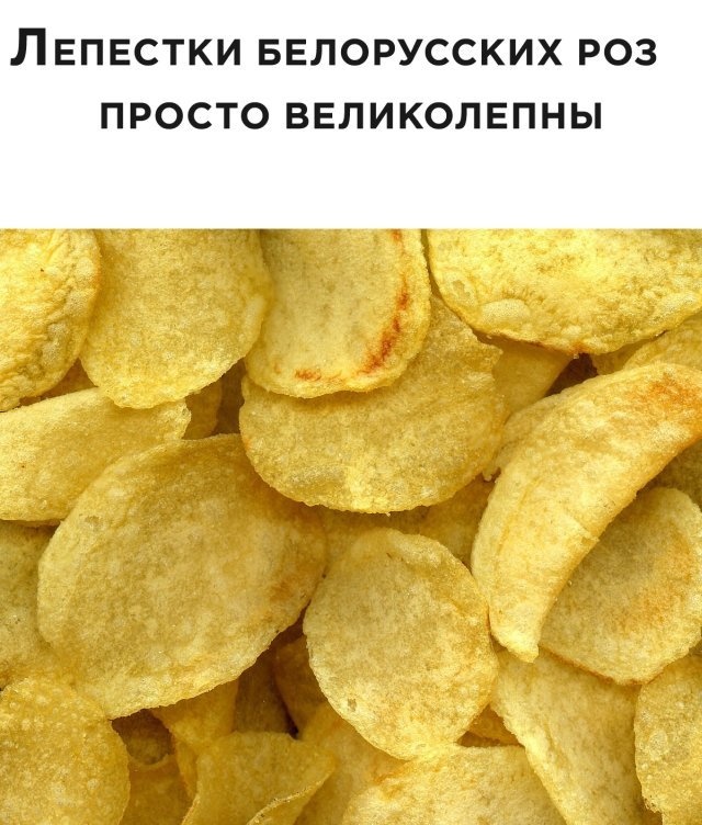 640x752, 134 Kb / лепестки, розы, картошка, чипсы, Беларусь, Белоруссия