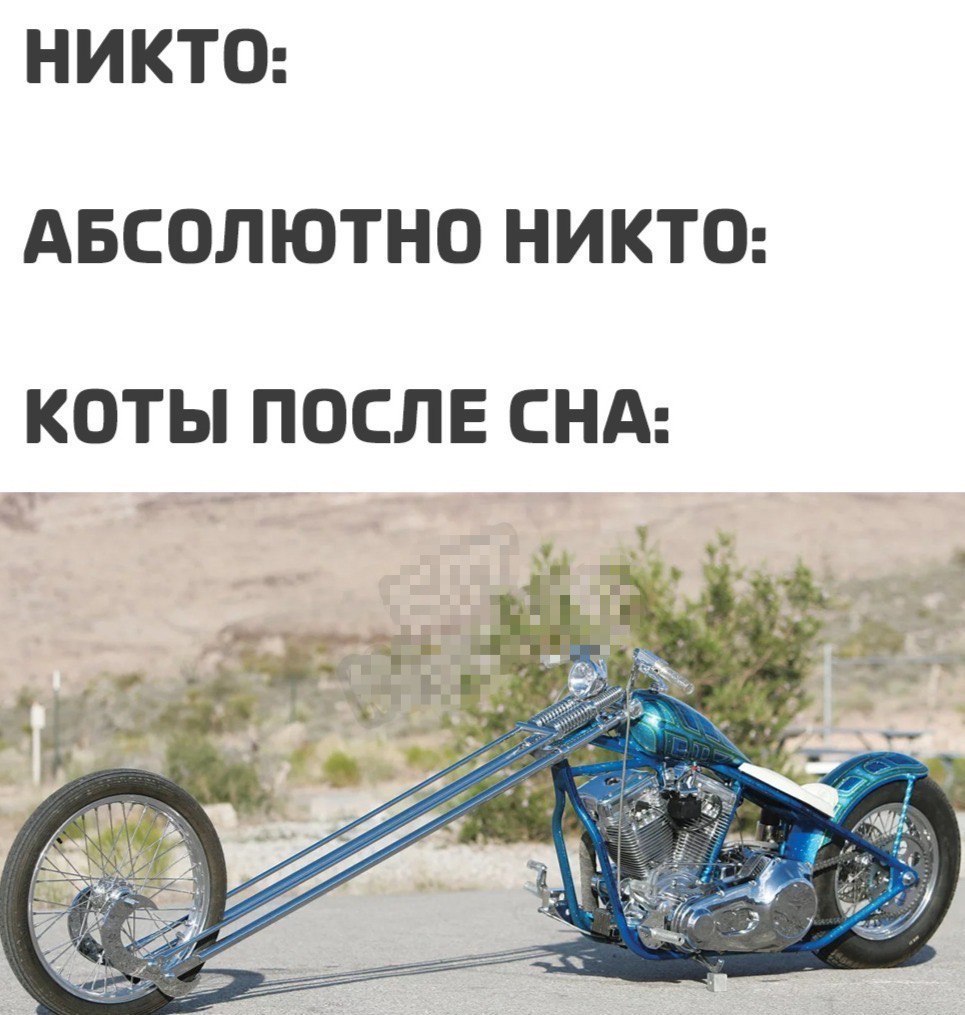 965x1015, 161 Kb / мотоцикл, чопер, вилка, потягивание
