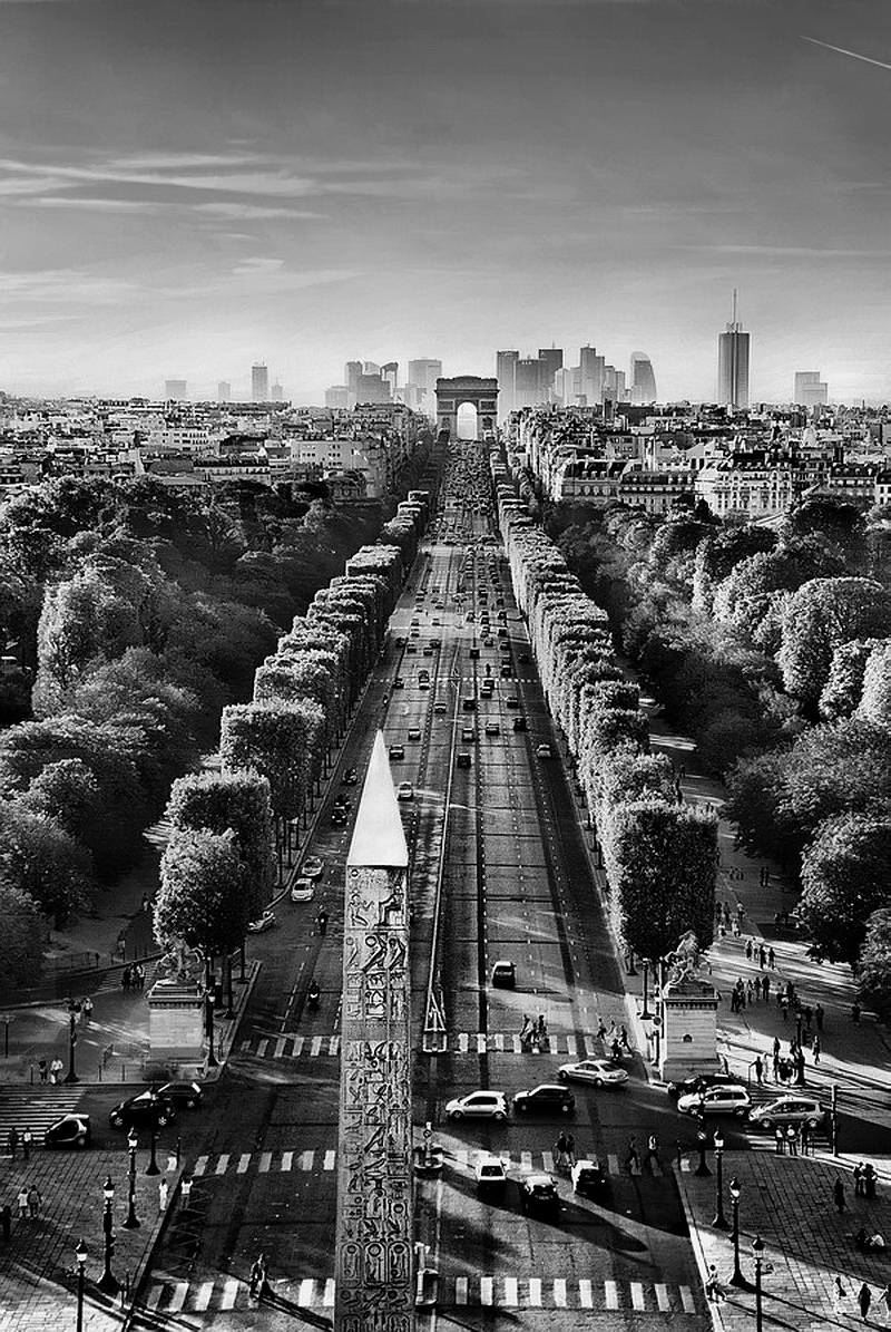 800x1195, 426 Kb / Париж, панорама, ч/б, дорога, автомобили, деревья,