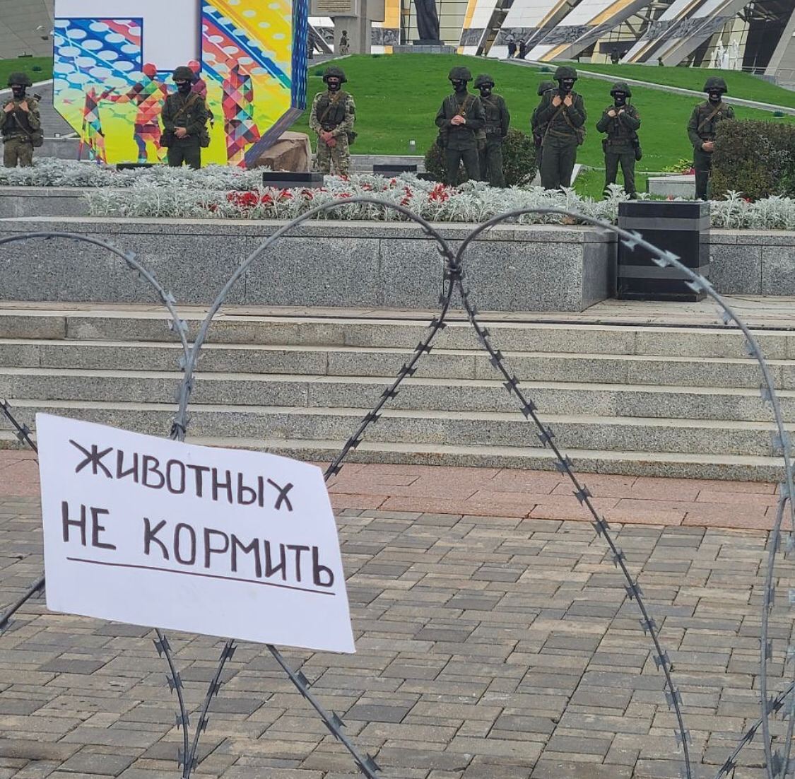 1125x1102, 279 Kb / Животные, колючка, Стелла, не кормить, войска, протест, Минск