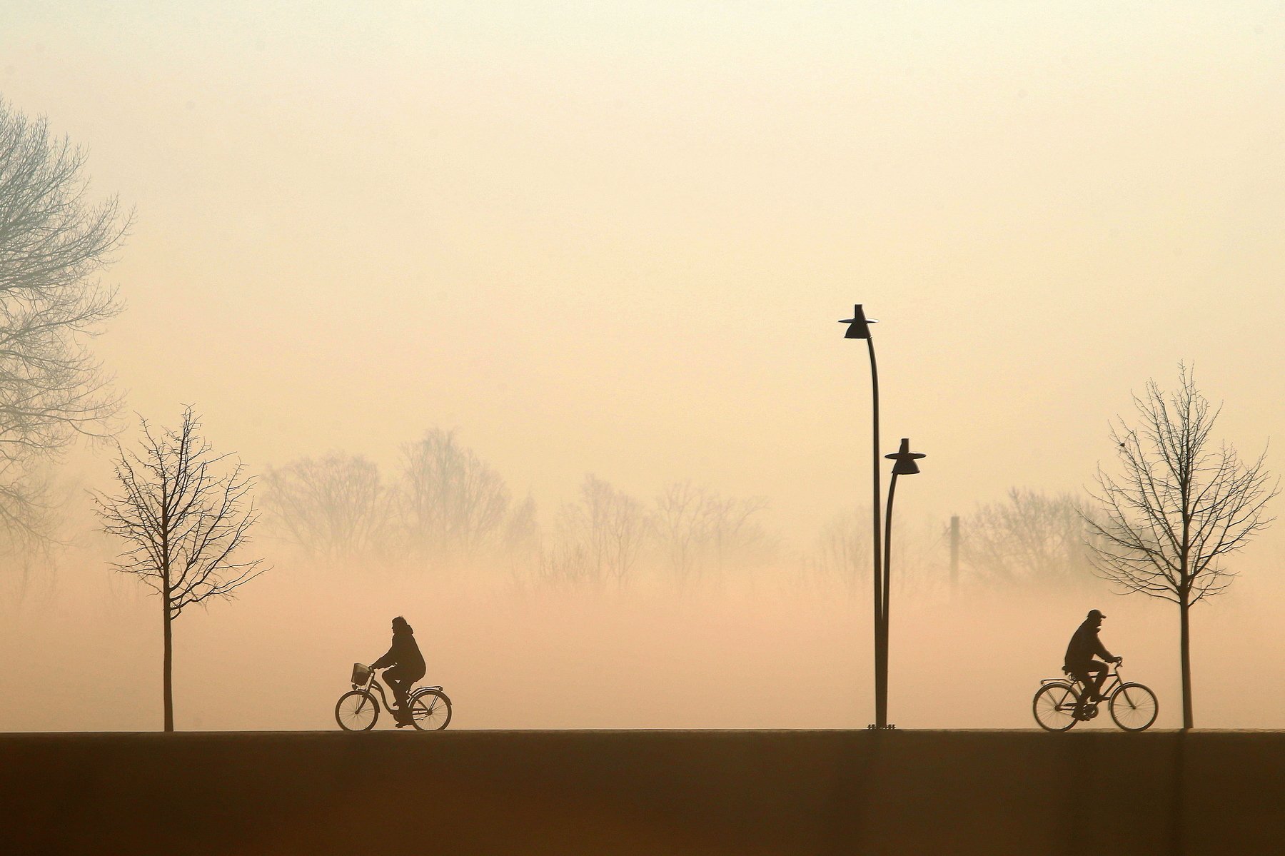 1800x1199, 248 Kb / велосипеды, фонари, двое, деревья, туман, ч/б