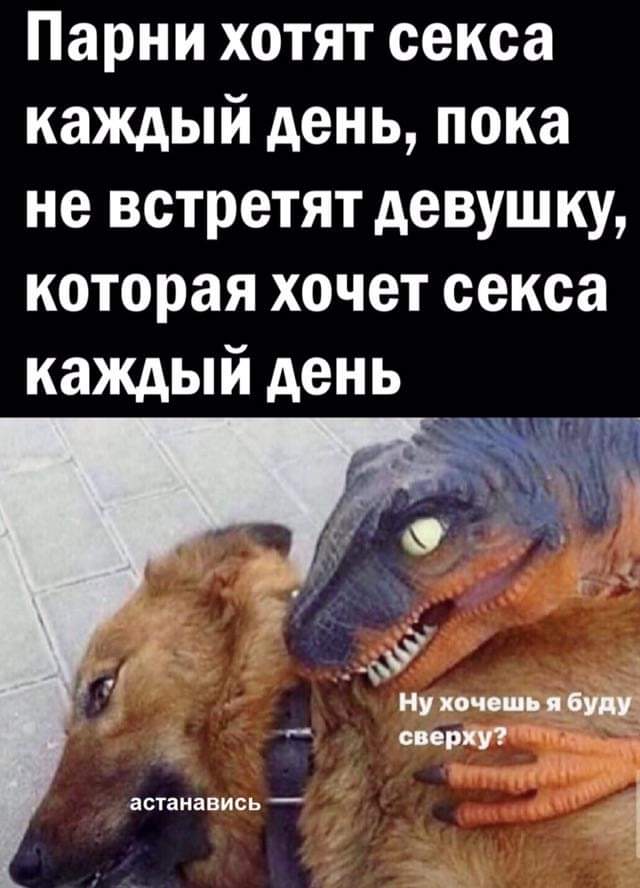 Ответы chelmass.ru: Собака хочет секса???