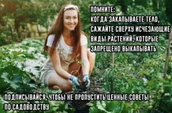 600x396, 84 Kb / ����, ��������