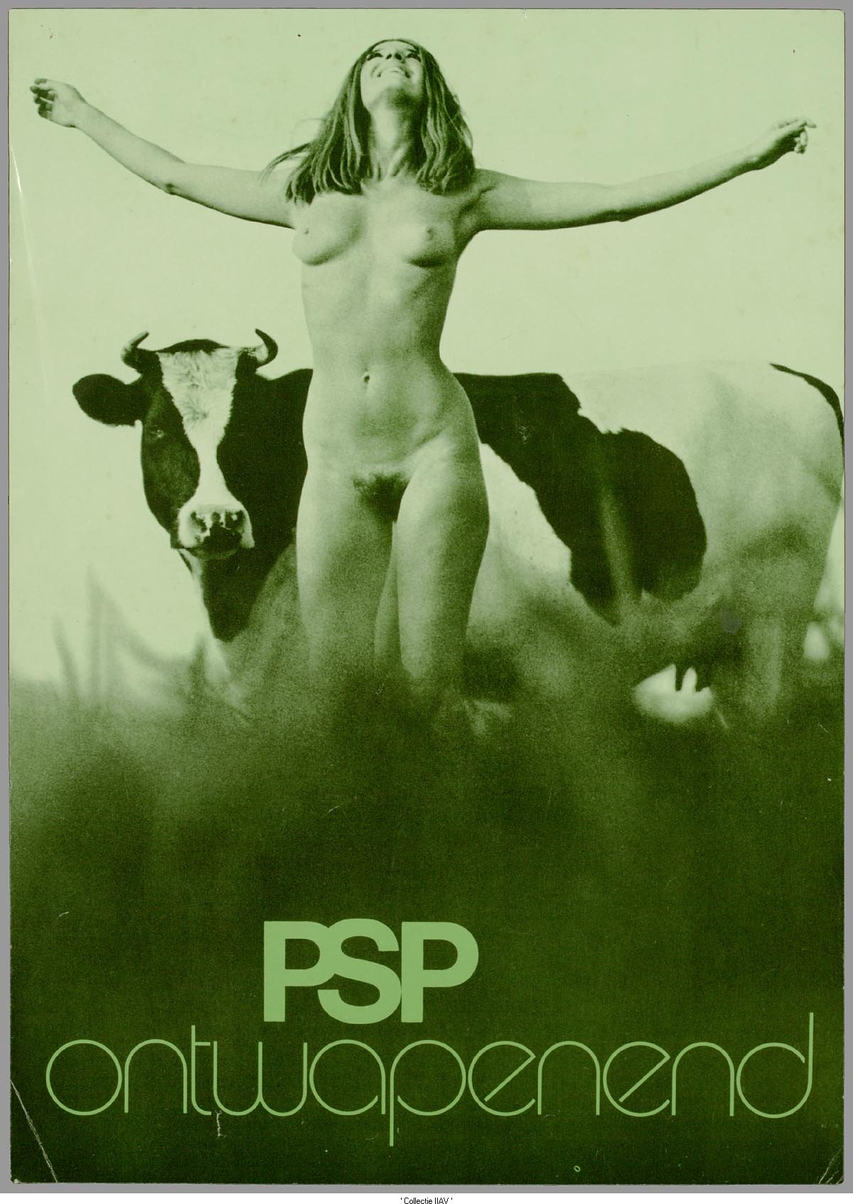 1200x1695, 261 Kb / Голая, корова, социалистической партия, Разоружение, плакат, Нидерланды