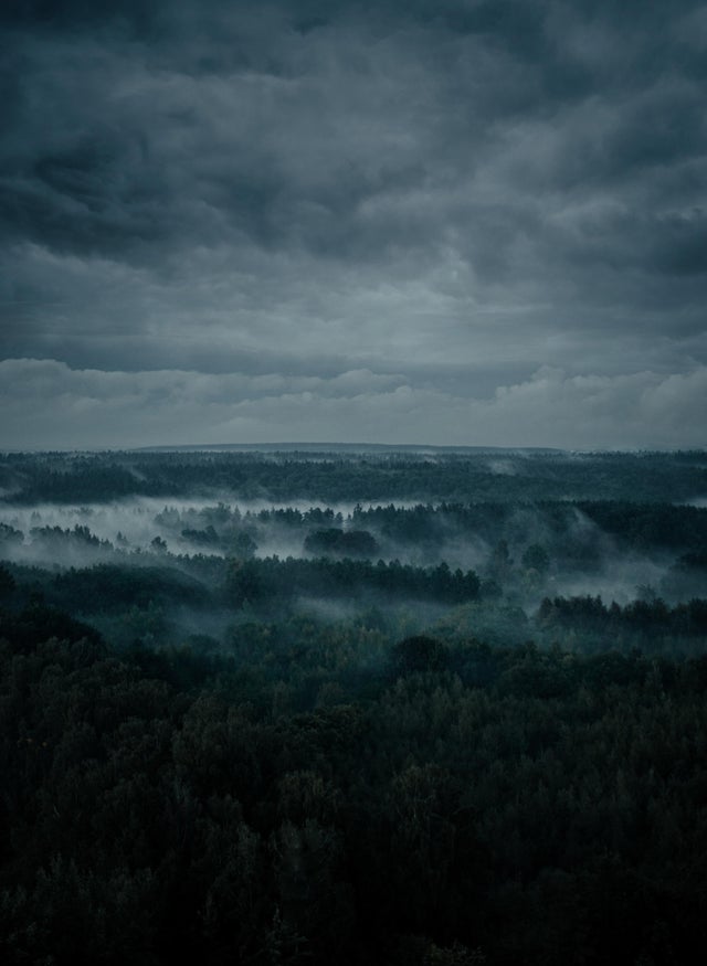 640x875, 44 Kb / лес, тучи, туман, Могилёв, Беларусь, EarthPorn