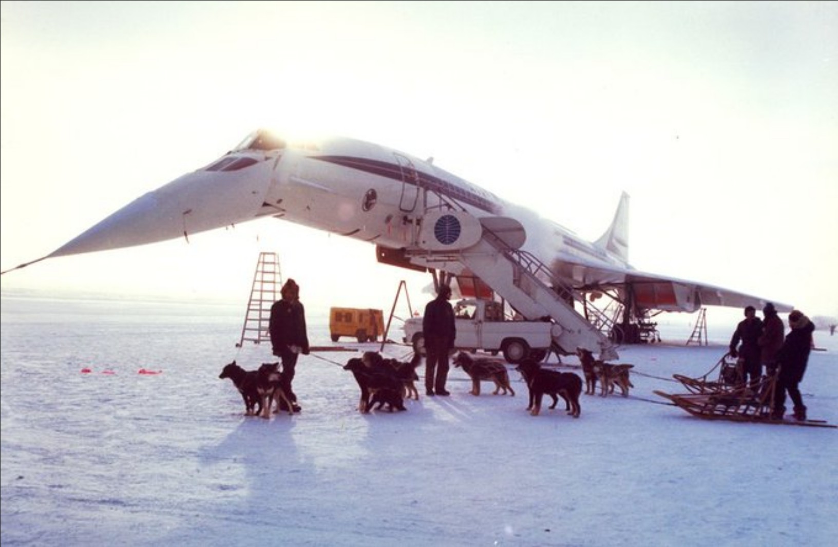 1632x1065, 185 Kb / Конкорд, Аляска, самолет, снег, собака