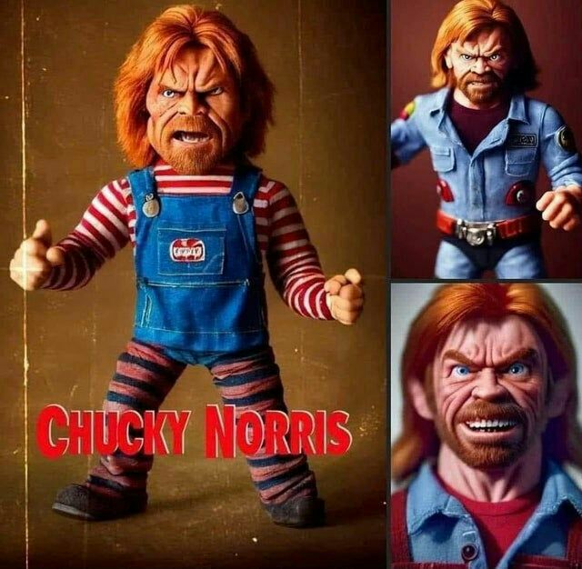 640x626, 72 Kb / Chucky Norris