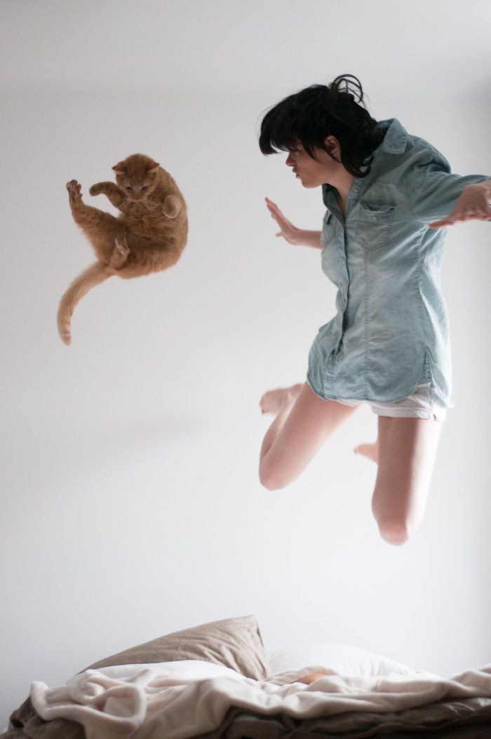 700x1054, 47 Kb / женщина, рыжий, кот, прыжок