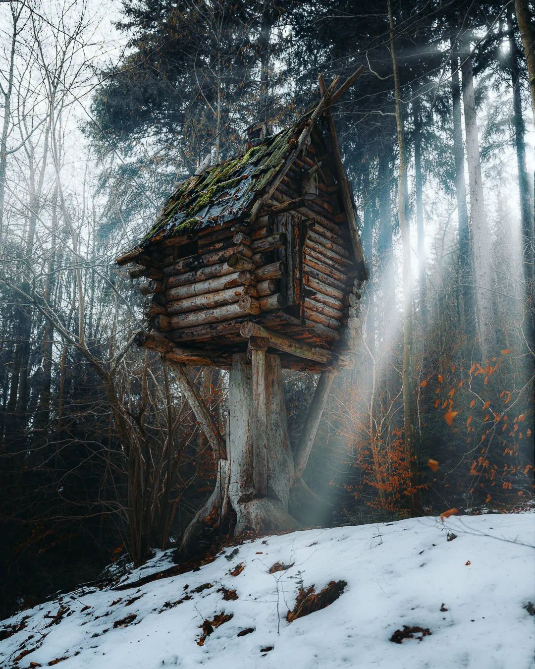 1080x1350, 365 Kb / избушка, дом, лес, снег