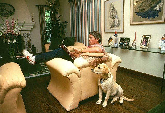 700x480, 67 Kb / Арнольд Шварценеггер, собака, кресло, картина, камин