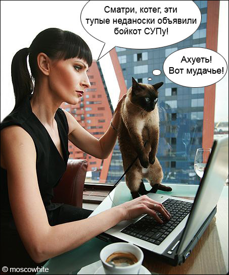 453x545, 107 Kb / ���, �������, �������