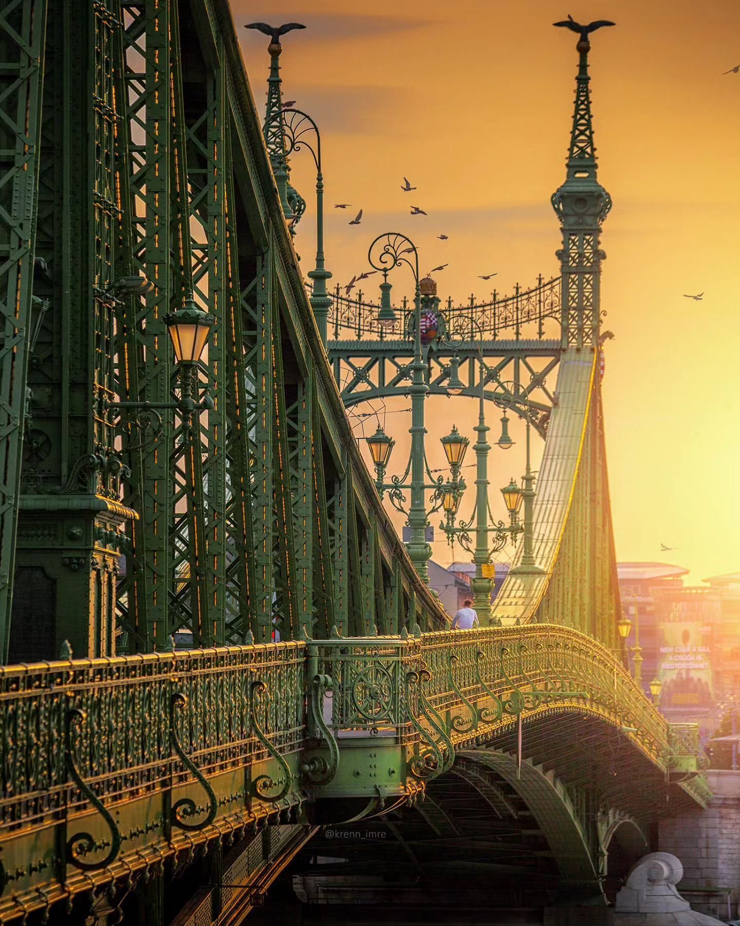 1440x1800, 491 Kb / Мост, Будапешт, птицы, Венгрия, Liberty Bridge, мост свободы