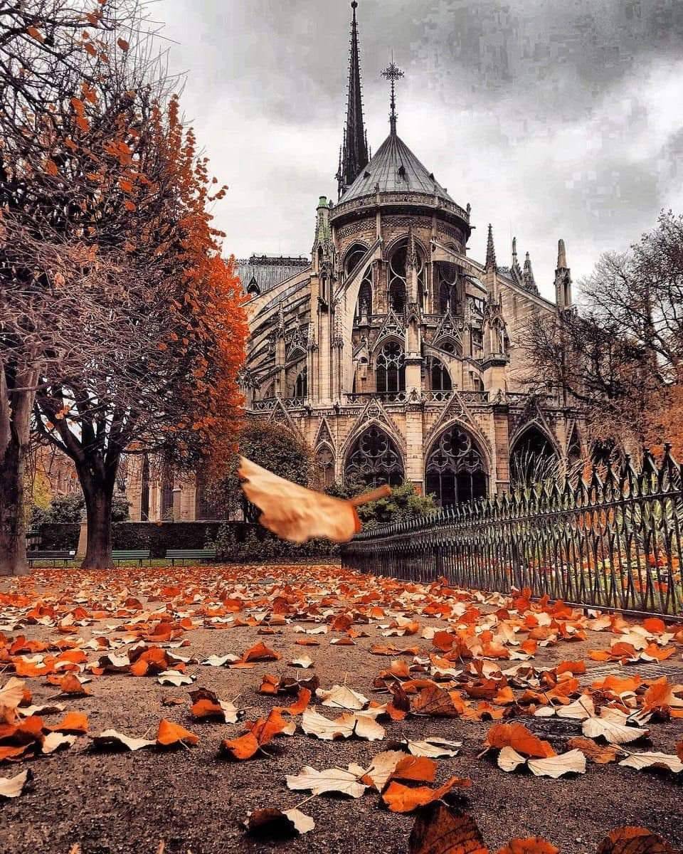 960x1200, 282 Kb / Notre-Dame de Paris, забор, осень, листья, Нотр-Дам-де-Пари