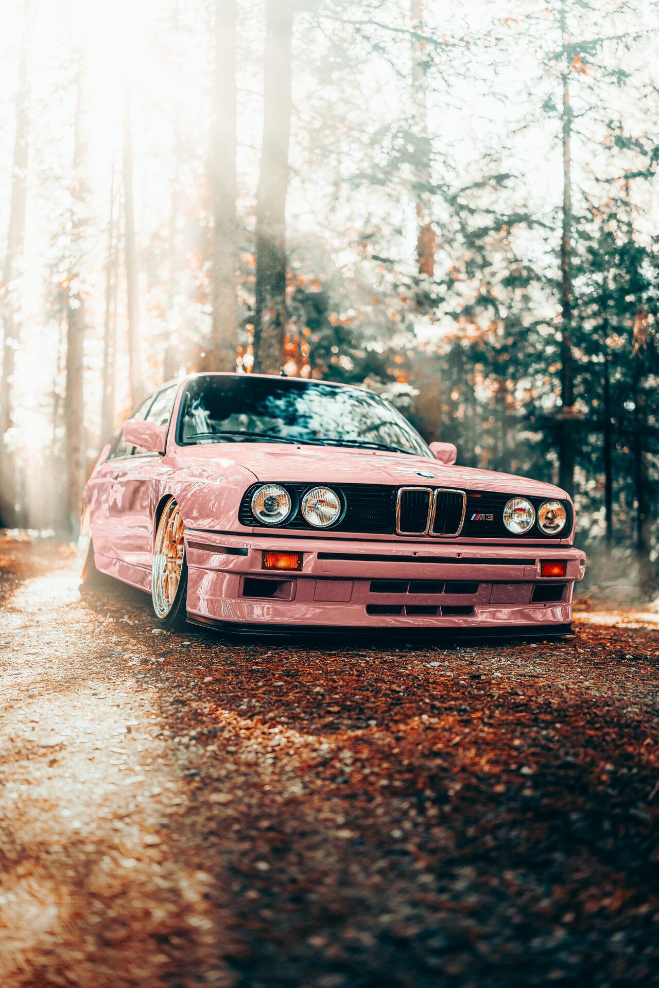 1280x1920, 335 Kb / автомобиль, классика, ретро, BMW, e30, розовый